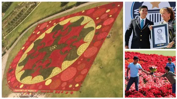 México rompe récord por el tapete de flores más grande del mundo