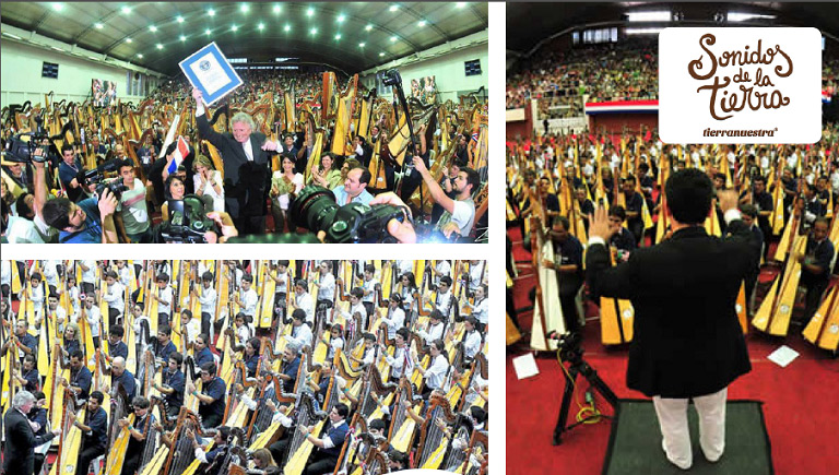 Fundacion Tierranuestra