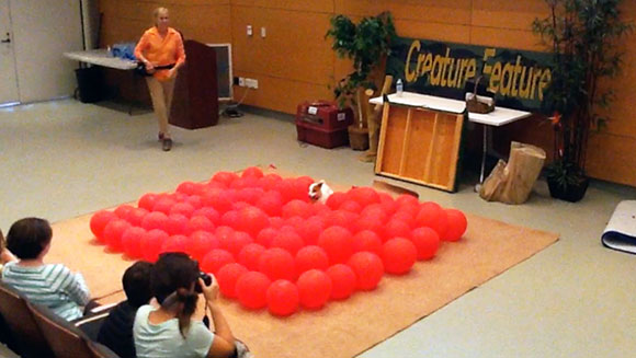 Fastest time to pop 100 balloons by a dog Twinkie header