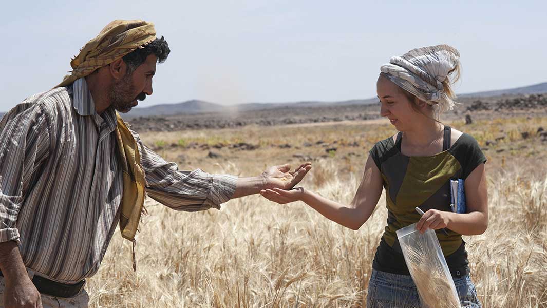 oldest bread article 1