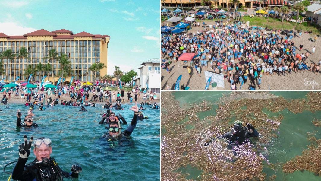 Largest underwater clean-up