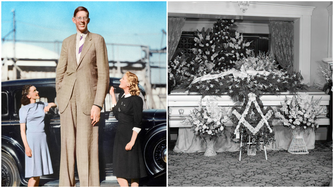 Robert Wadlow split image