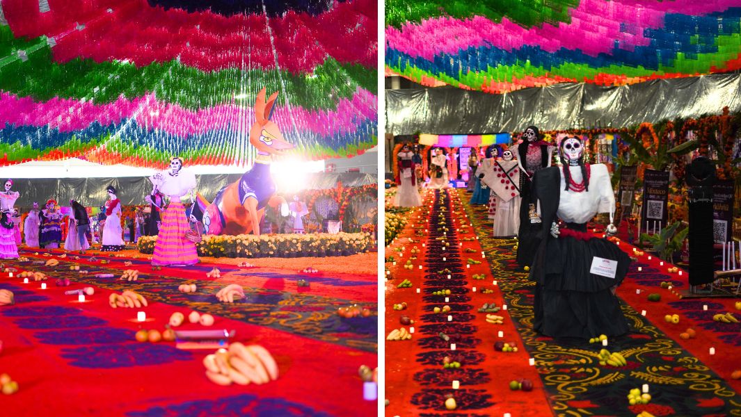 split image largest day of the dead altar
